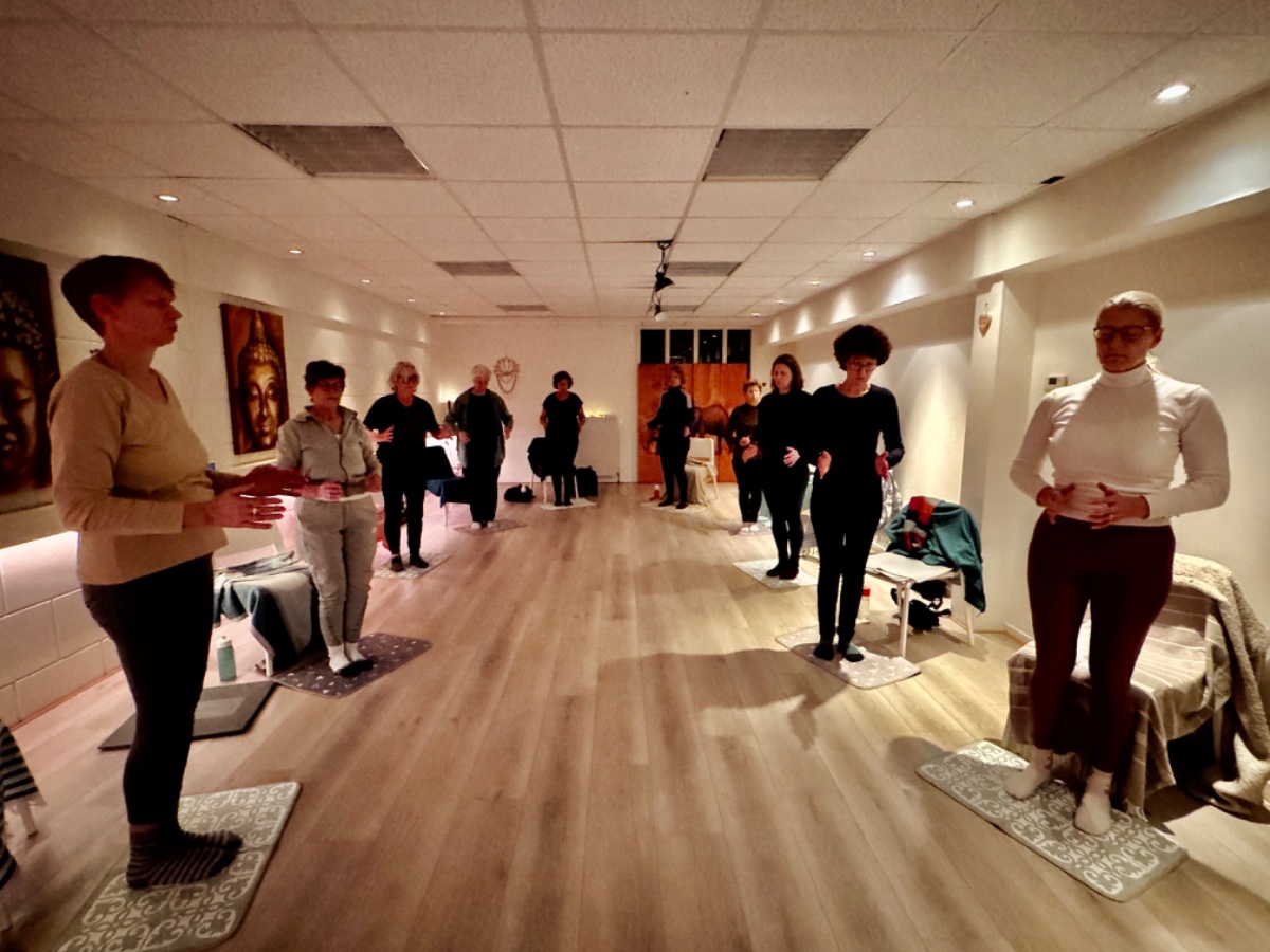 Basisworkshop Zhineng Qigong (o.a. voor beginners)