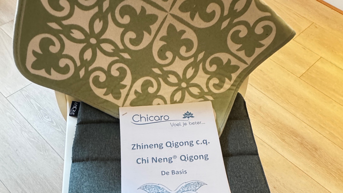Workshop Zhineng Qigong in de studio
